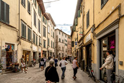 lucca 
